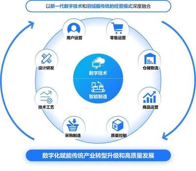 構(gòu)建高效、可持續(xù)的數(shù)字生態(tài)系統(tǒng) 標(biāo)桿項(xiàng)目實(shí)施辦法與數(shù)字技術(shù)服務(wù)路徑